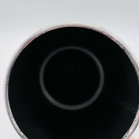 TRUE TANKED WINE GROWLER LUG & CHUG 750 ML DOUBLE WALLED STAINLESS STEEL NWT - Picture 13 of 15